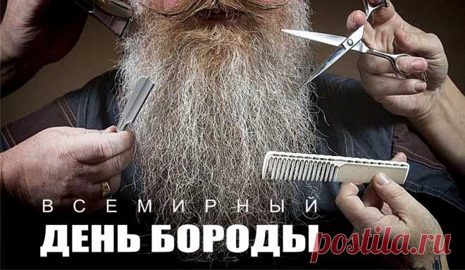 Бородачам шлю поздравление свое,
Пусть будет мягкой борода – как шелк!