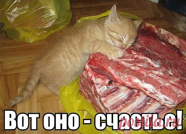 счастливчик