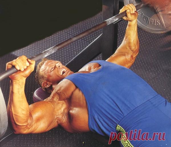 Как накачать грудные мышцы. Советы по методике