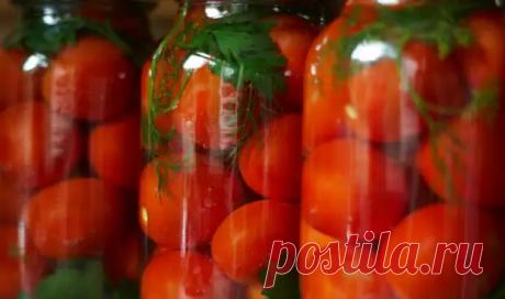 Из записной книжки мамы: помидоры с чесноком на зиму - Будет вкусно - 13 августа - 43820812895 - Медиаплатформа МирТесен