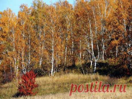 ФОТОМАСТЕРСКАЯ ПРИРОДЫ
Татьяна Рогожина(Чука)