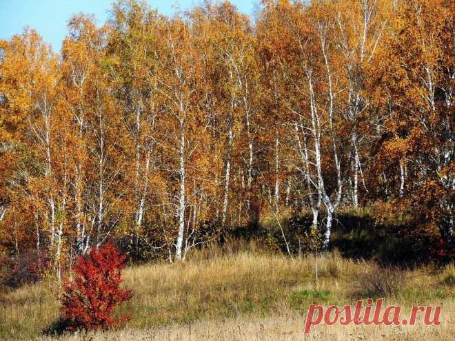 ФОТОМАСТЕРСКАЯ ПРИРОДЫ
Татьяна Рогожина(Чука)