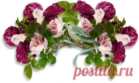 разные детали на прозрачном фоне для оформления рамок - Поиск в Google