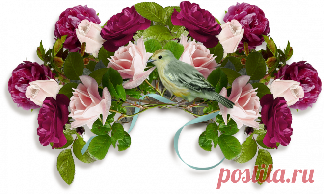 разные детали на прозрачном фоне для оформления рамок - Поиск в Google