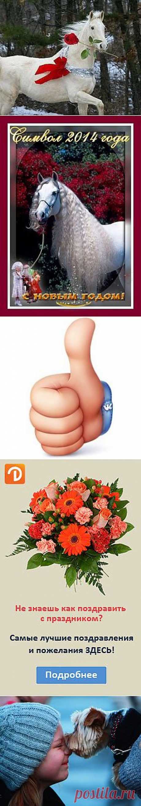 * * * * * * * * * * *