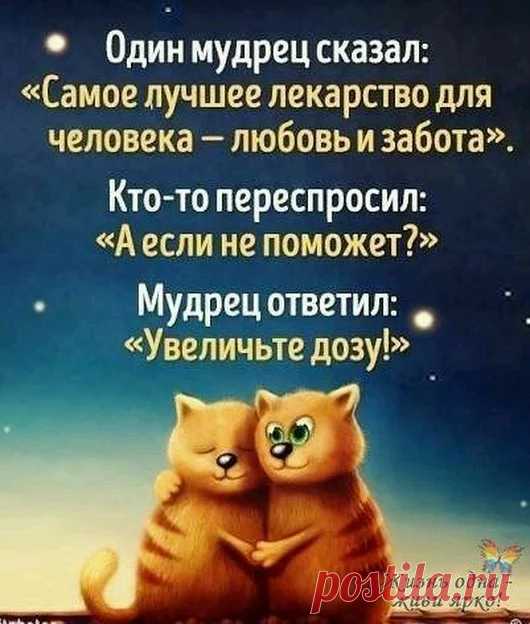 Елена Казакова - Google+