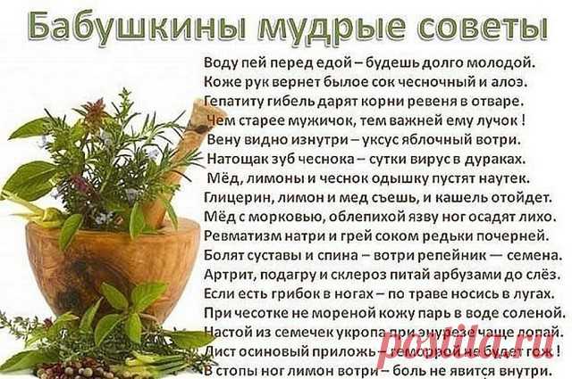 (48) Одноклассники