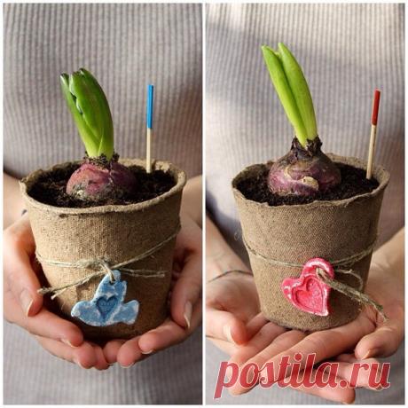 Design-магазин: флористика, стиль, интерьер