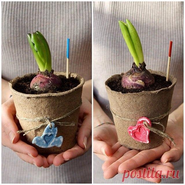 Design-магазин: флористика, стиль, интерьер