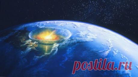 15 занимательных фактов о муравьях | Наука и техника