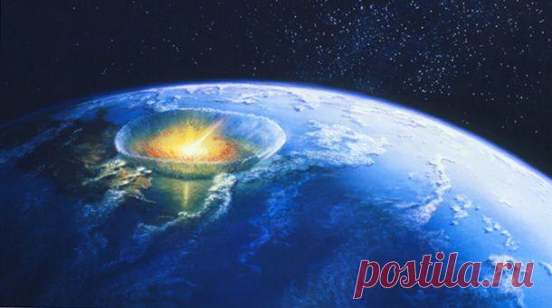 15 занимательных фактов о муравьях | Наука и техника