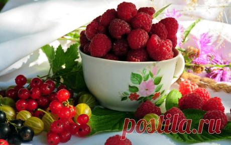 Food_Fruits_and_Berryes_Mug_with_raspberries_031769_.jpg (1280×800)