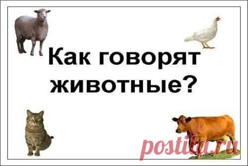 Наталья Ильина