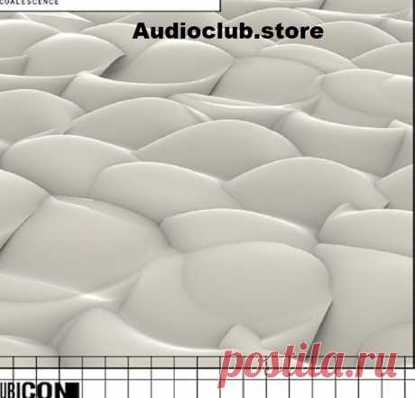 We are thrilled to unveil the debut masterpiece from Audio Club Rubicon Coalescence – a groundbreaking sound design collection that defies the conventional boundaries of a sample library. This innovative set weaves a rich, immersive narrative, brought to life by the visionary artistry of Michael C. Aniekwe. Prepare to embark on an auditory journey like no other.