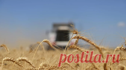 Замглавы МИД Вершинин обсудил с турецким коллегой вопросы выполнения зерновой сделки. Замглавы российского МИД Сергей Вершинин обсудил по телефону с турецким коллегой Бураком Акчапаром вопросы выполнения зерновой сделки. Читать далее