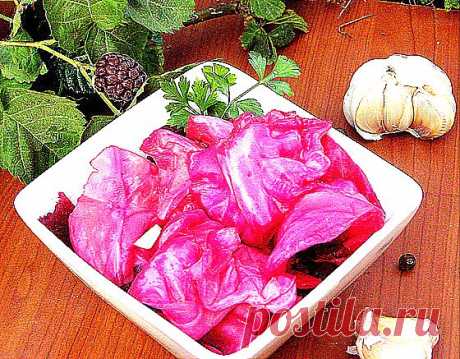 Маринованная капуста быстрого приготовления - несколько вариантов.
