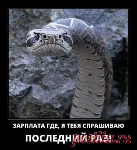 Смешные картинки со смыслом