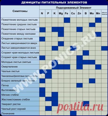 диагностика по листьям комнатных: 7 тыс изображений найдено в Яндекс.Картинках