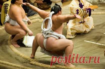 (+1) тема - 10 Советов по сжиганию жира | ЗДОРОВЫЙ ОБРАЗ