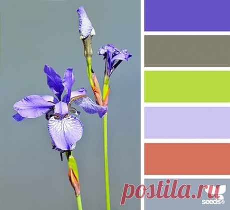 Design Seeds® | find your palette