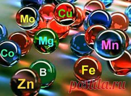 Минералы и микроэлементы - так ли они важны?