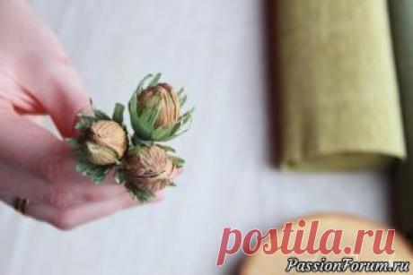 Мастерим ОРЕШНИК из бумаги, подробный мастер-класс - запись пользователя AlinaRomanovna (Алина) в сообществе Работа с бумагой в категории Другие поделки из бумаги и картона