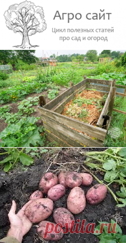 Какие органические удобрения вы знаете - применение органики