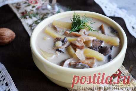 Рецепт: Суп с белыми грибами и сливками на RussianFood.com