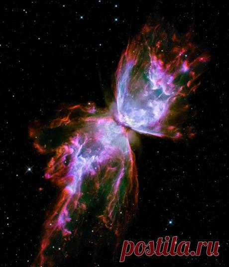 3. Напоминающая бабочку и называющаяся соответственно Туманность Бабочки состоит из раскаленного газа с температурой около 20 000°C и движется по вселенной со скоростью более 950 000 км в час. От Земли до Луны с такой скоростью можно добраться за 24 минуты.
