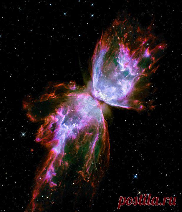 3. Напоминающая бабочку и называющаяся соответственно Туманность Бабочки состоит из раскаленного газа с температурой около 20 000°C и движется по вселенной со скоростью более 950 000 км в час. От Земли до Луны с такой скоростью можно добраться за 24 минуты.