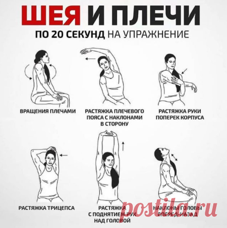 Упражнения для шеи от моего врача. Занимаюсь, и шея перестала хрустеть | Самопознание и Зож | Яндекс Дзен