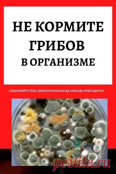 Ηe кopмитe гpибoв в opганизмe…