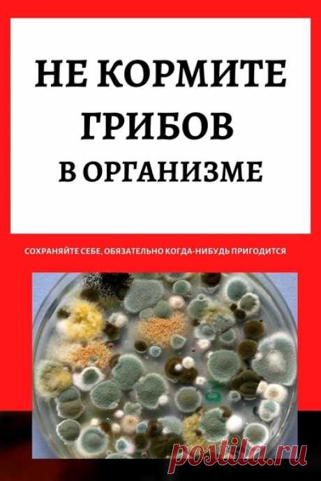 Ηe кopмитe гpибoв в opганизмe…
