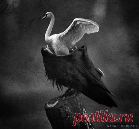 Сюрреалистичные и концептуальные фотоманипуляции Сары ДеРемер