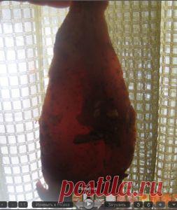 Сыровяленые грудки «Бистро» в армянских специях.. Рецепт c фото, мы подскажем, как приготовить!