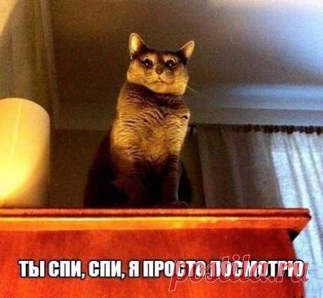Смотрите и улыбайтесь! Смешные картинки с подписями