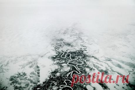 ФотоТелеграф » Пока ночь не разлучит нас
