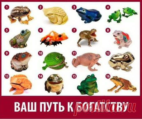 Психологический тест по картинке. Выберите лягушку достатка