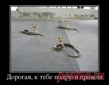 Владислав Фомин – Google+