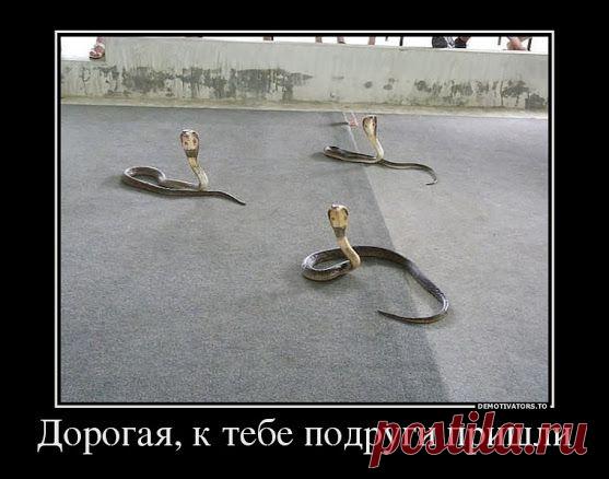 Владислав Фомин – Google+