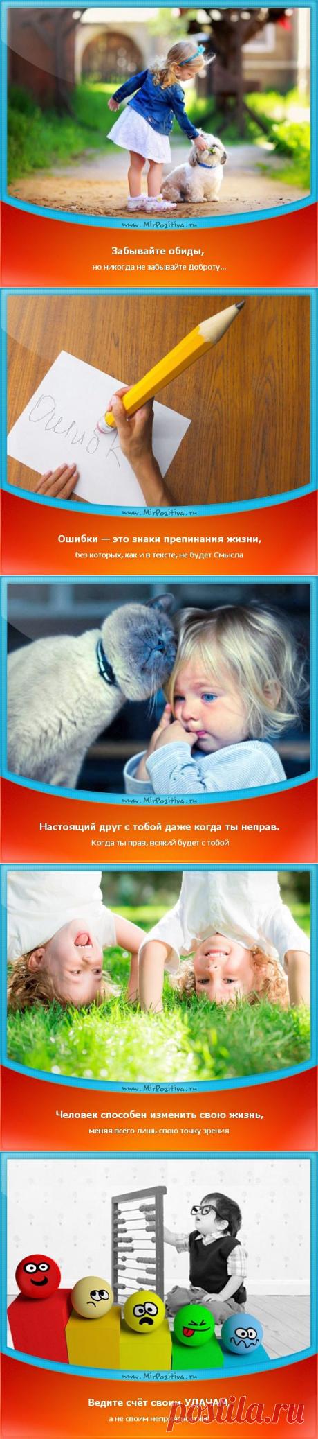 Позитивчики Недели (смотреть фото)