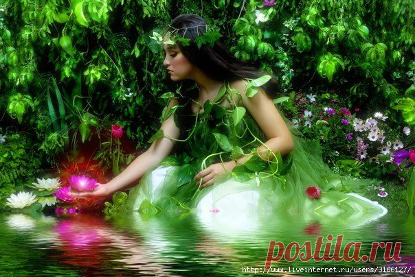 ♥ღ♥Притча : Цена желания♥ღ♥.