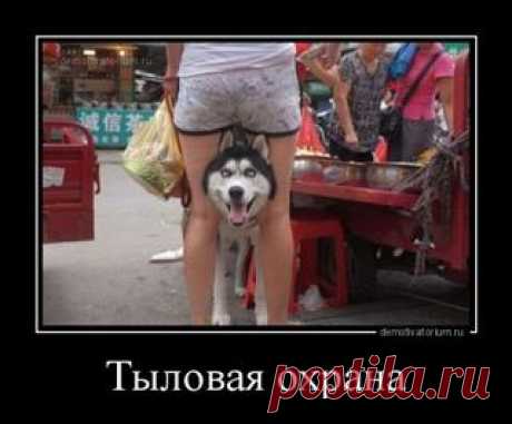 Десять, действительно, хороших советов.