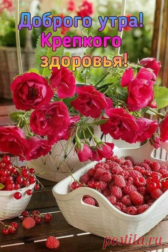 Фотоальбом на память о Александре Леонидовне группы С Добрым утром!