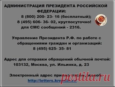 (53) Одноклассники