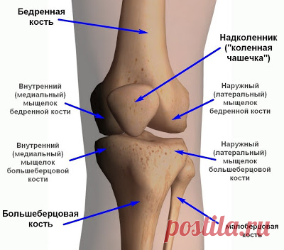 Боли в коленях: лечение народными средствами