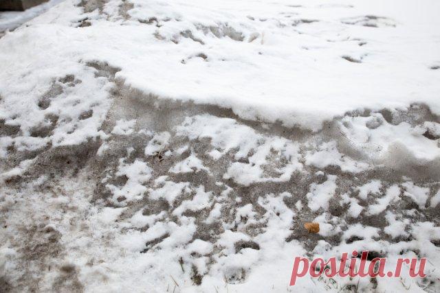 Делаем грядку для весеннего урожая: 5 простых шагов к майским овощам