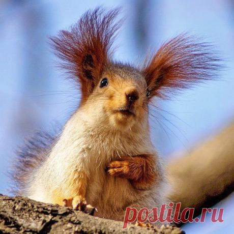 Живая природа