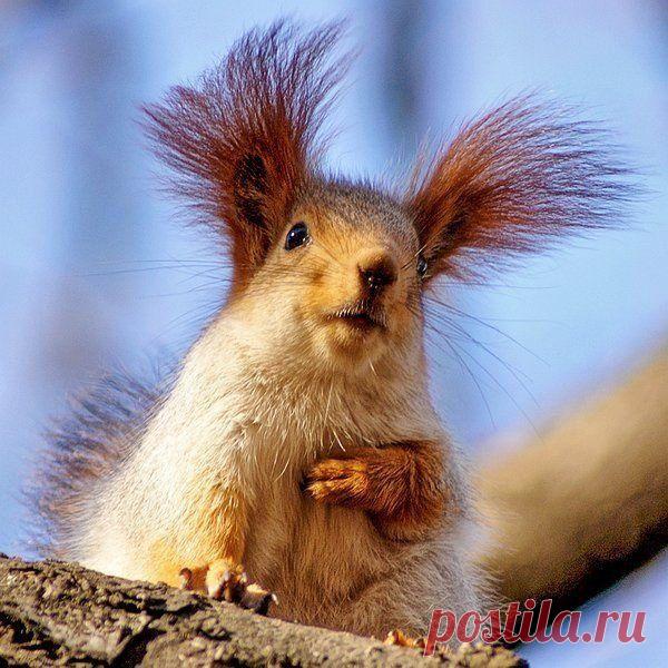 Живая природа