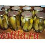 Огурцы 